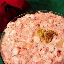 Cranberry and Marshmallow Salad