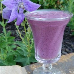 Blueberry Smoothie