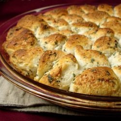 Herb and Cheese Biscuit Bites