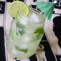 Sugar-Free Mojito Punch