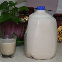 Fast Easy Horchata