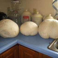 Giant Puffball Mushroom Crust Pizza