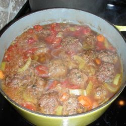 German Bavarian Meatball Stew