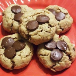 Double Chocolate Peanut Butter Cookies