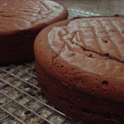 Double-layer Chocolate Cake