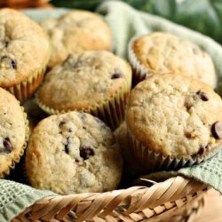 Healthy Banana Chocolate Chip Muffins