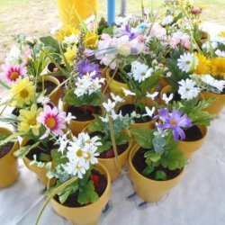 Flower Pot Cake