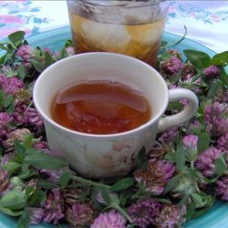 Red Clover Tea