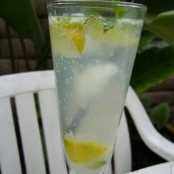 Malibu Mango Mojito