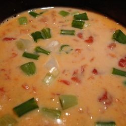 Crock Pot Chile Con Queso