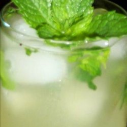 Lemon-Mint Spritzer