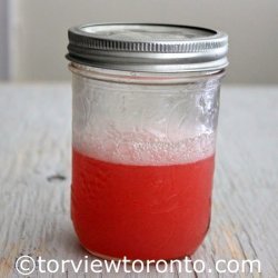 Oh So Refreshing Rhubarb Punch