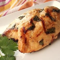 Beer Lime Grilled Chicken