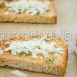 Fennel with Pecorino Cheese