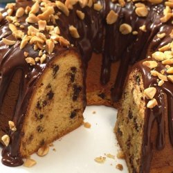 Chocolate Chip Cake