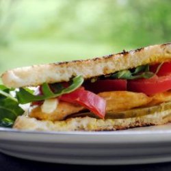 Tasha's Grilled Chicken Sandwich