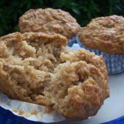 Low-Fat Apple Oatmeal Muffins