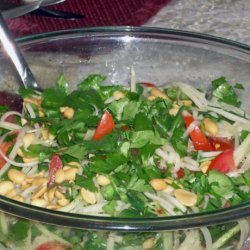 Green Papaya Salad Ala Bobby Flay