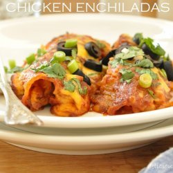 Easy Chicken Enchiladas