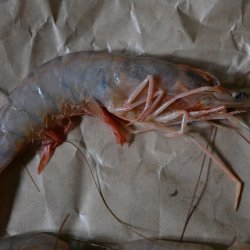 Grilled Rosemary Garlic Shrimp