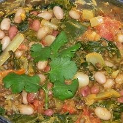 Spinach, Red Lentil, and Bean Curry