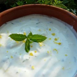 Classic Yogurt Sauce