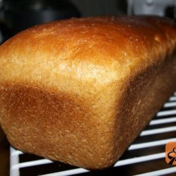 Honey Wheat Bread