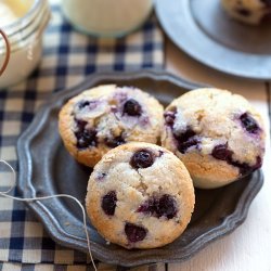 Blueberry Yogurt Muffins