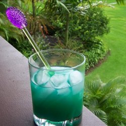 Cactus Cocktail