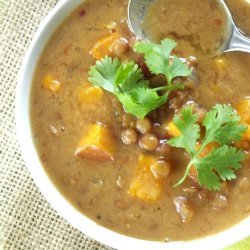 Curried Lentil Soup