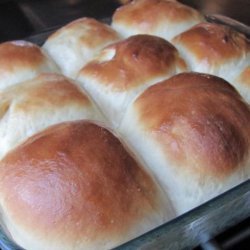 Yummy No Knead Bread Rolls