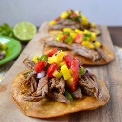 Shredded Salsa Beef