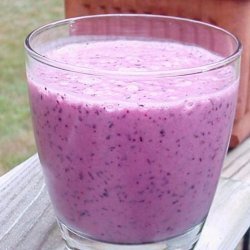 Pomegranate Blueberry Freeze