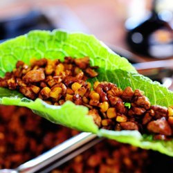 Vegetarian Lettuce Wraps