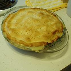 Terry's Favorite Easy Chicken Pie