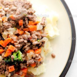 Hamburger Stroganoff