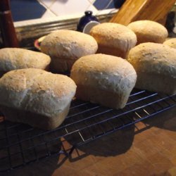 Neil's Harbour White Bread