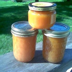 Apricot Honey Butter