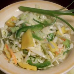 Caribbean Coleslaw With Orange Mango Dressing