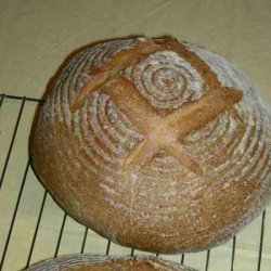 Italian Peasant Bread