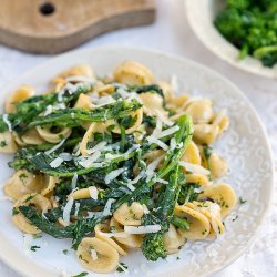 Broccoli Garlic Pasta