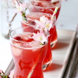 Cranberry Margarita