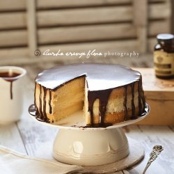 Boston Cream Cheese Pie