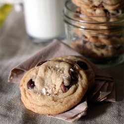 Chocolate Chip Butter Cookies