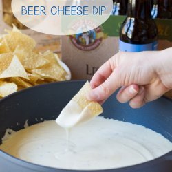 Spicy Cheese Dip