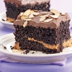 Fudge Cake