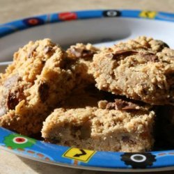 Chewy Chocolate Chip Bars