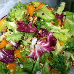 Tossed Romaine and Orange Salad