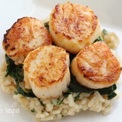 Scallops and Spinach With Parmesan Sauce
