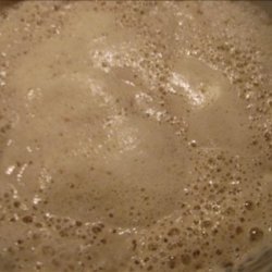 Sourdough Starter from Flakes